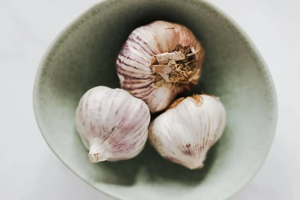 Garlic: Nature's Antibiotic