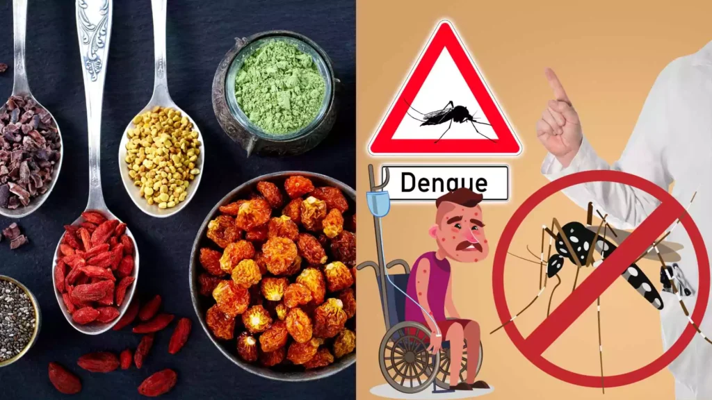 10 Best Foods to Boost Platelet Count in Dengue!